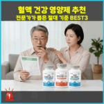 혈액 건강 영양제 추천