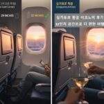 싱가포르 항공 이코노미 좌석 간격 32인치와 발받침대, 넓은 좌석을 배경으로 와인 건배하는 모습