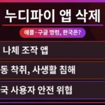 애플과 구글 로고가 보이는 스마트폰 화면에 '누디파이' 앱 삭제 경고 메시지가 떠 있으며, 한국 앱스토어 사용자들이 디지털 성범죄 피해를 예방하기 위한 방법을 고민하는 모습을 시각적으로 표현한 이미지.